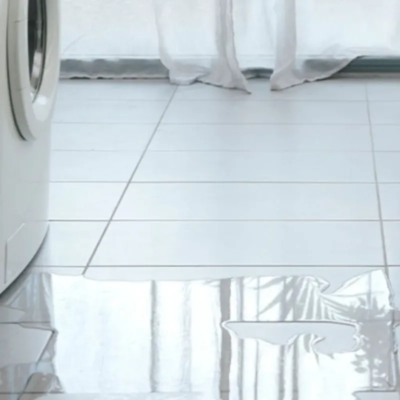 Appliance Leak Cleanup in McDonough, GA