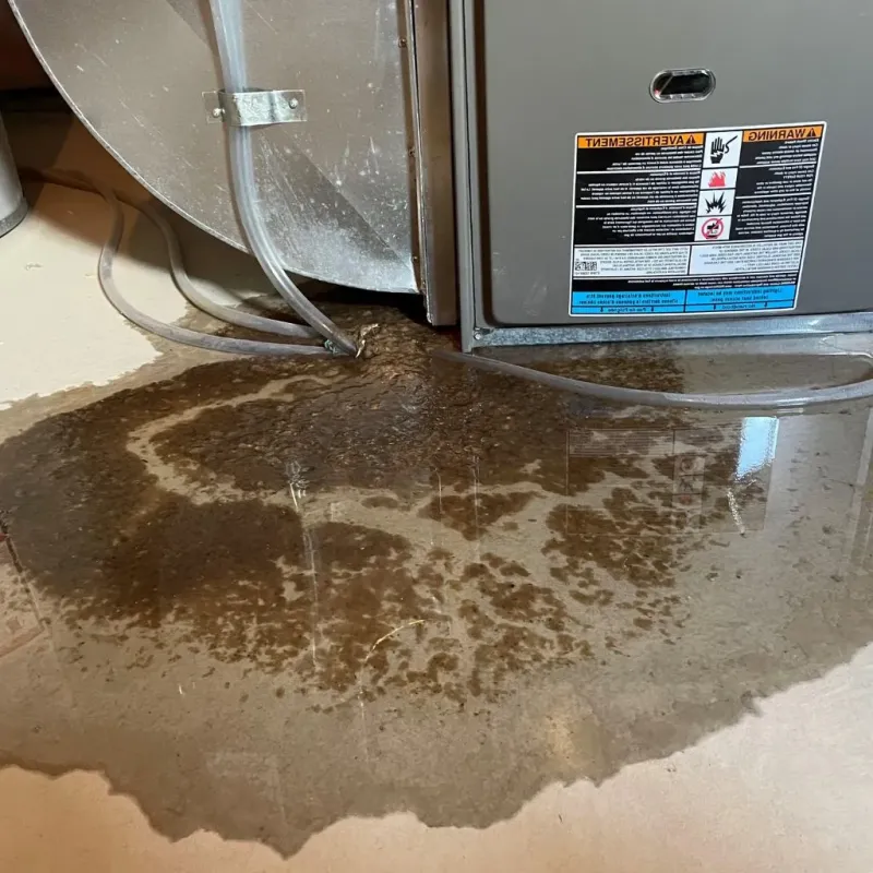 Pipe Burst and Leak Restoration in McDonough, GA